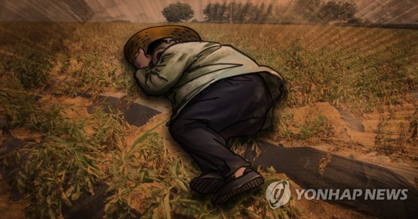 폭염속 밭 일하던 노인 사망 (PG)